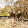 Image 2: Vineyard Trail Ride and Taste at Jacob's Creek