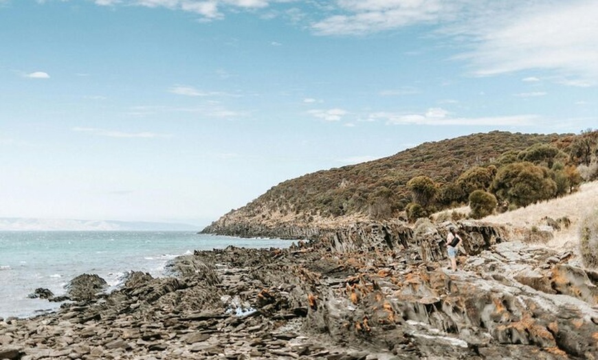 Image 3: Kangaroo Island Ultimate Adventure Tour departing Penneshaw