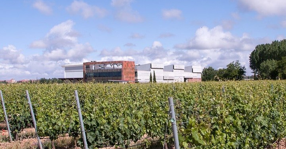 Visita a bodega con cata de vinos en Aranda de Duero