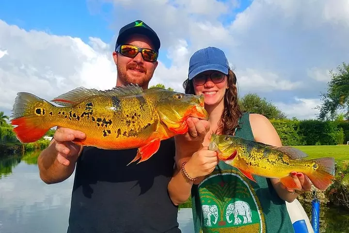 Peacock Bass Fishing Trips Near Miami Florida