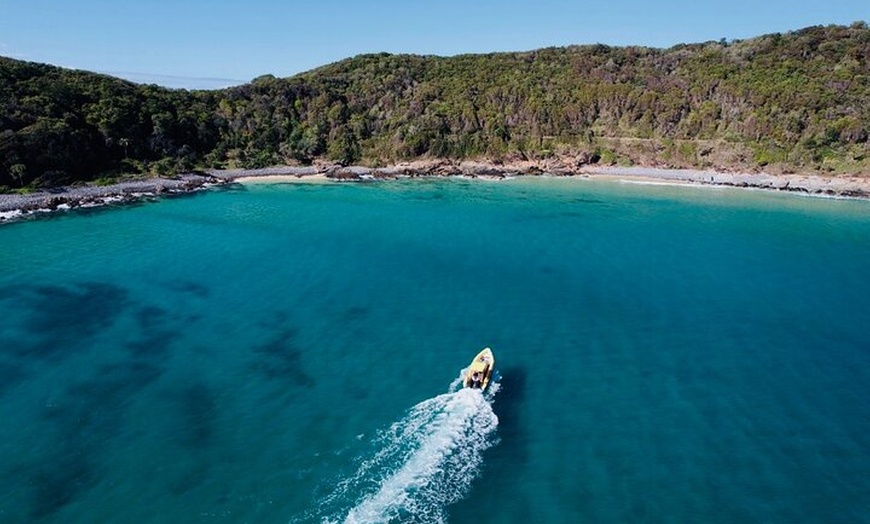 Image 6: Noosa ocean adventure & Dolphin safari.