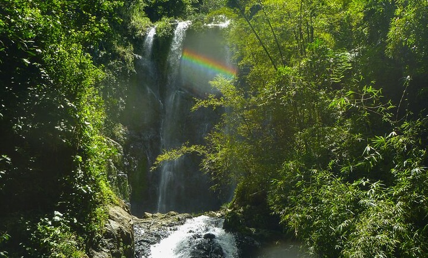 Image 4: Charco Prieto Hidden Waterfall Adventure from San Juan