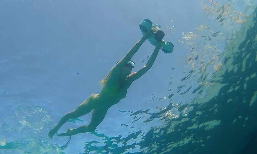 Image 9: Eco Charter Experience Palma