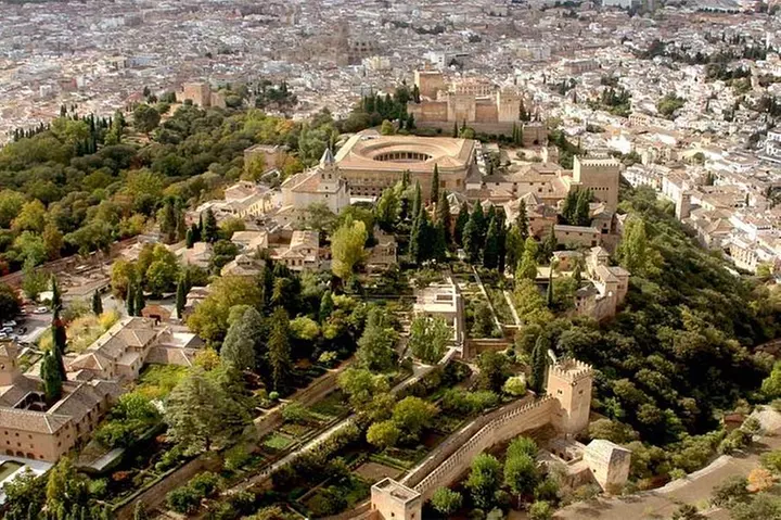 Visita guiada al Palacio de la Alhambra y Carlos con palacios nazar...