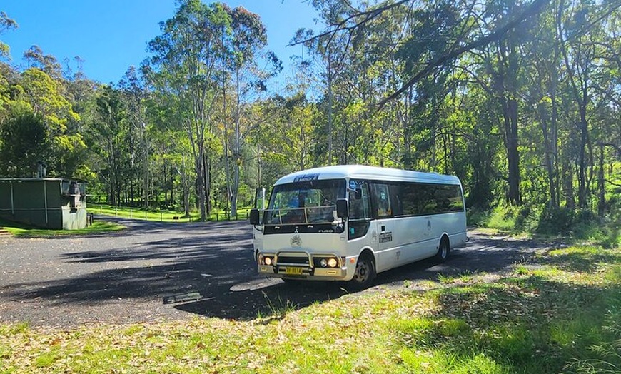 Image 6: Blue Mountains Small Group Tour with Waterfall Walk & Fresh Lunch