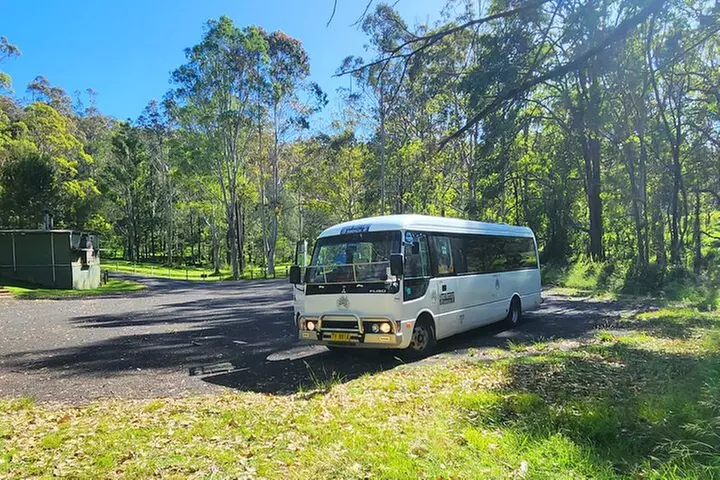 Blue Mountains Small Group Tour with Waterfall Walk & Fresh Lunch