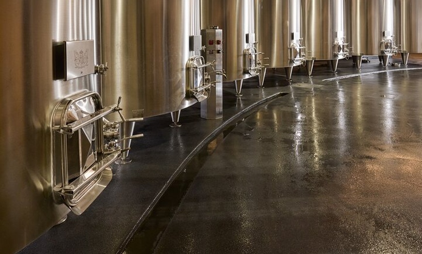 Image 3: Visite Privée Power Trio : St Julien, Pauillac & St Estèphe