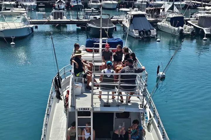 Guaranteed Whale Watch in Kona