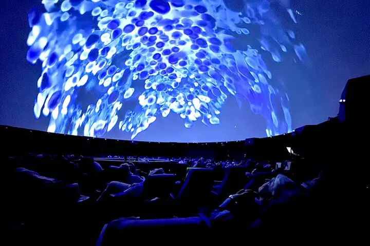 Sounds of the Ocean: The Immersive Experience - Tampa - Second Medium