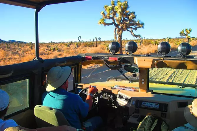 Joshua Tree Hummer Tour from Palm Desert - Primary Image
