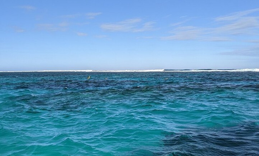 Image 5: Marine Eco Safari - Swim with Manta Rays