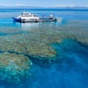 Image 2: Reef Tour with SCUBA Dive from Cairns, pontoon with activities