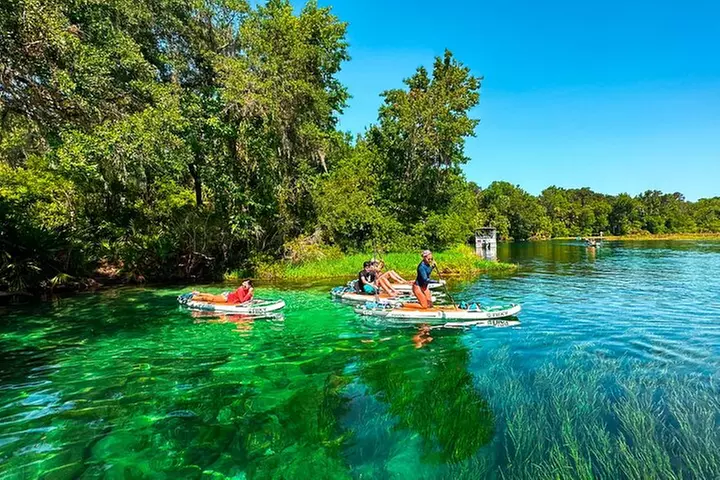 Rainbow Springs Paddle Board & Kayak Adventure