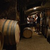 Image 9: Excursion privée d'une journée en Bourgogne : Côte DE Beaune & Côte...