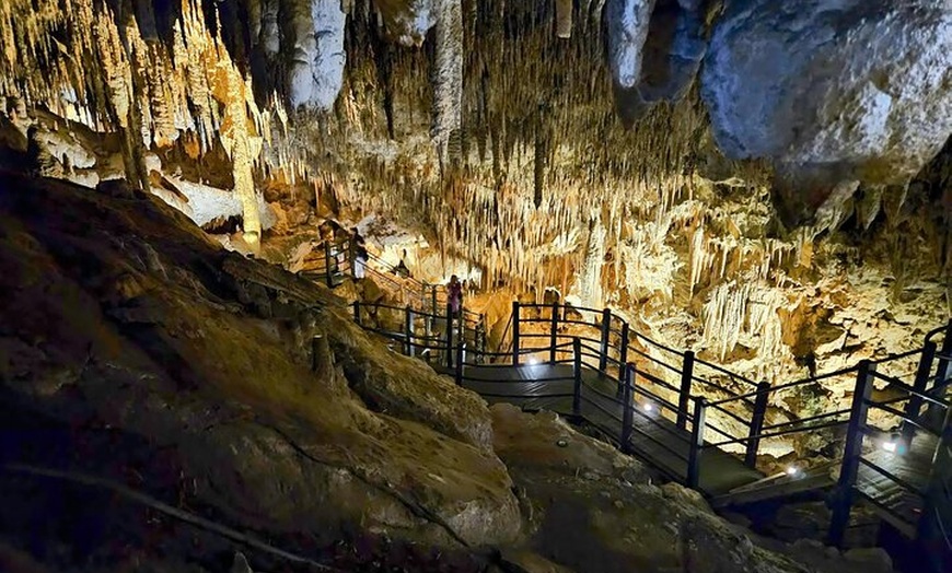 Image 6: 2 Day Tour Busselton Jetty, Ngilgi Cave to Valley of the Giants