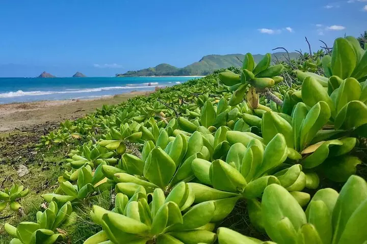 Oahu South Shore GPS Driving Beaches and Hiking Tour