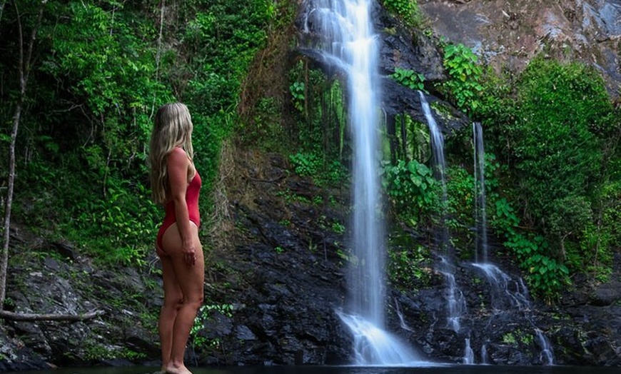 Image 6: UTV 4wd Cassowary Falls and Daintree Rainforest Adventure tour