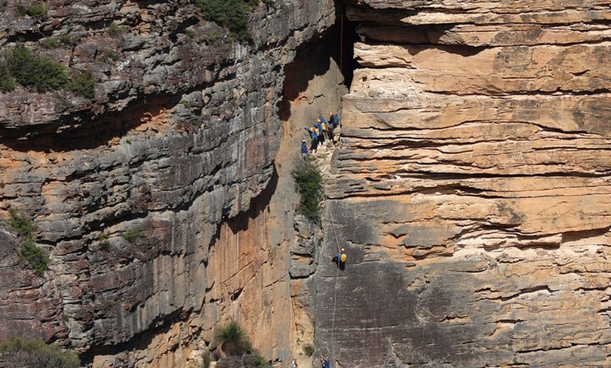Image 30: Blue Mountains Private Tour