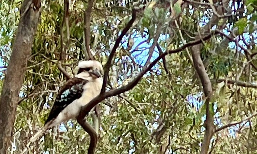 Image 9: Deep Creek Hike: Trails and Tales with a Foreign Flair