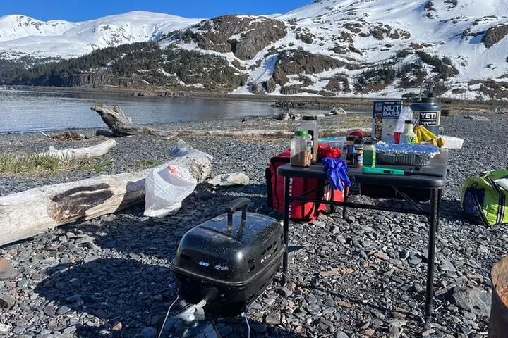 Whittier Drive and Coastal Alaska Full Day Adventure