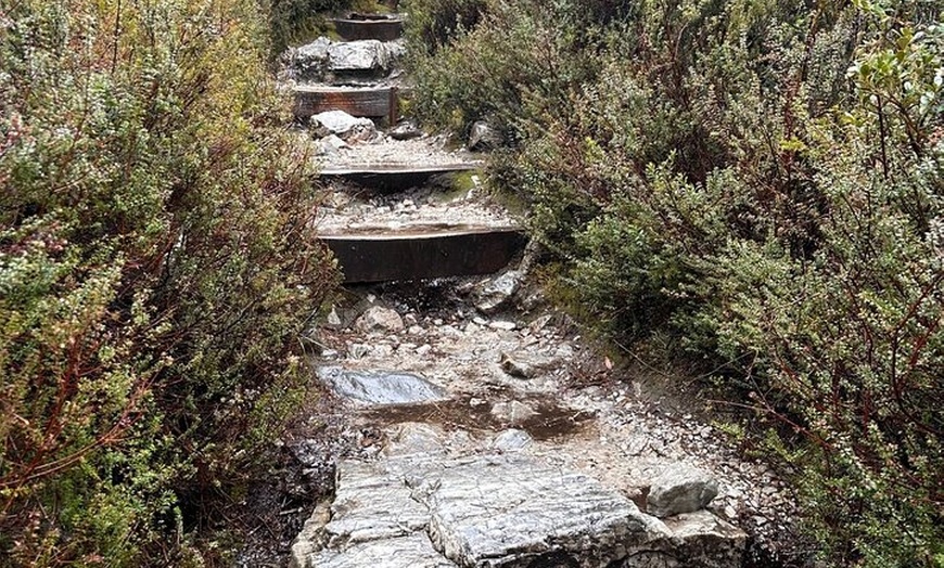 Image 6: Cradle Mountain Half Day Dove Lake Guided Tour with Lunch