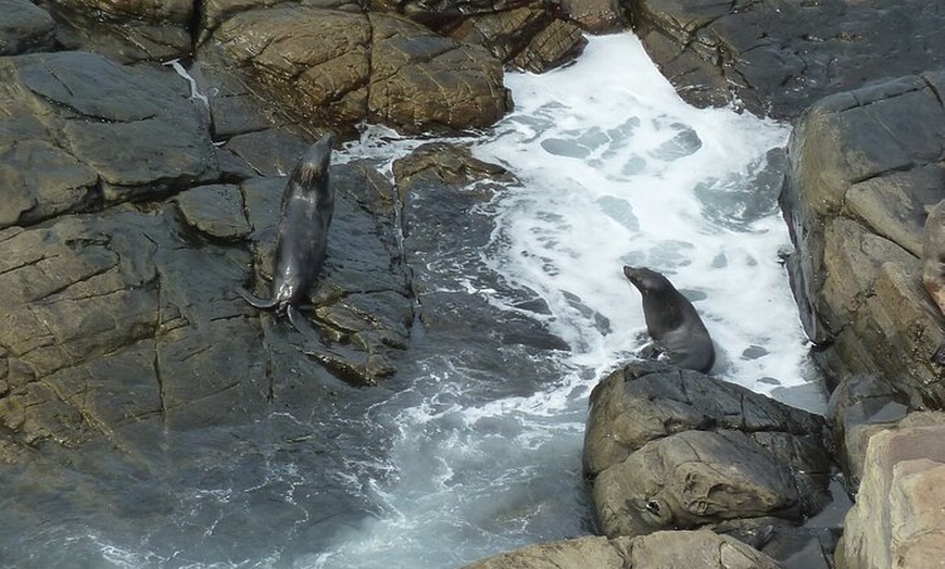 Image 14: Premium 2 Day Kangaroo Island Minibus Tour from Adelaide