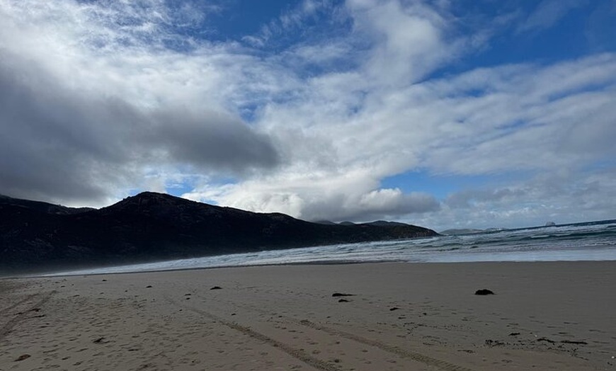Image 6: Melbourne: Private Wilson Promontory National Park Day Tours
