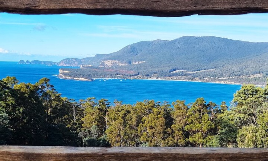 Image 5: Hobart: Cape Hauy Adventure Hike - rugged cliffs & wild beauty