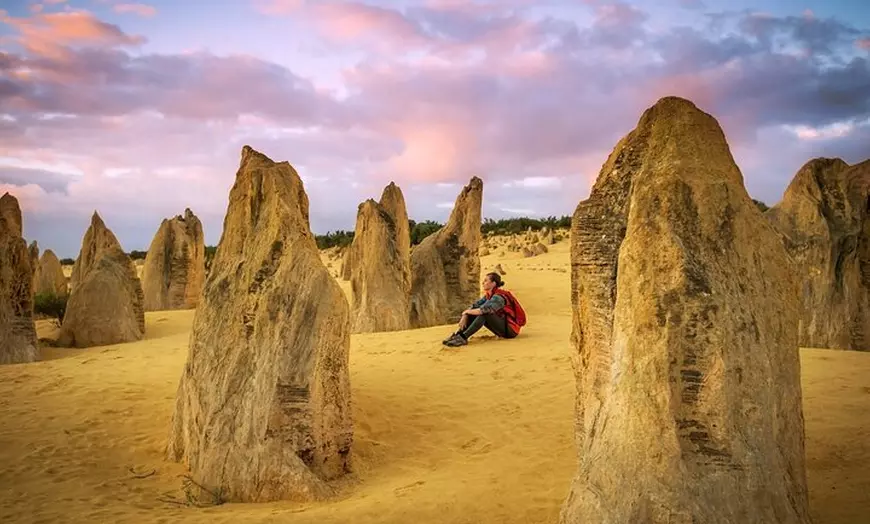 Image 11: Pinnacles Desert Sunset and Stargazing Adventure Tour