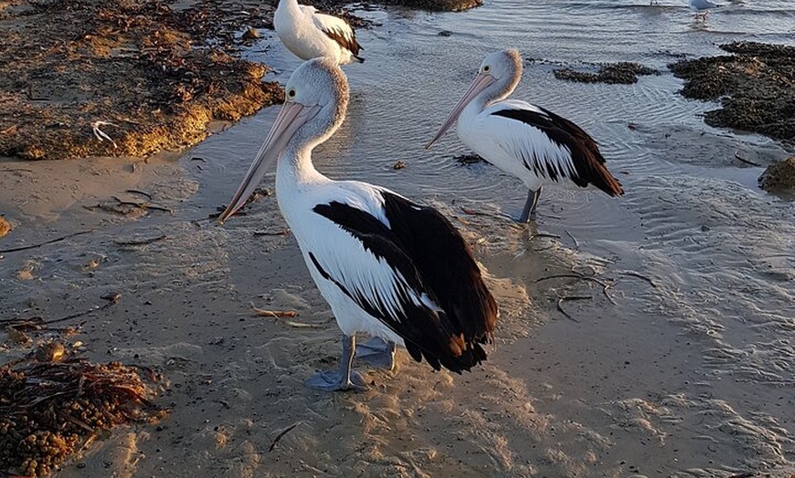 Image 12: Premium 2 Day Kangaroo Island Minibus Tour from Adelaide