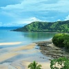 Image 15: Private Luxury Cape Tribulation Adventure and Crocodile Cruise