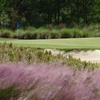 Image 4: $45 For Green Fees For 2 Including Cart (Reg. $90)