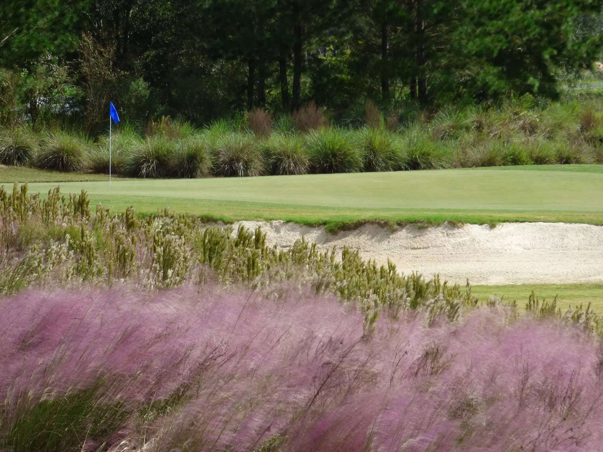 $45 For Green Fees For 2 Including Cart (Reg. $90)