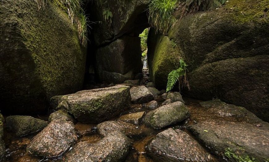 Image 3: Aberdeen Private Tour: Balmoral Castle and Scenic Wonders