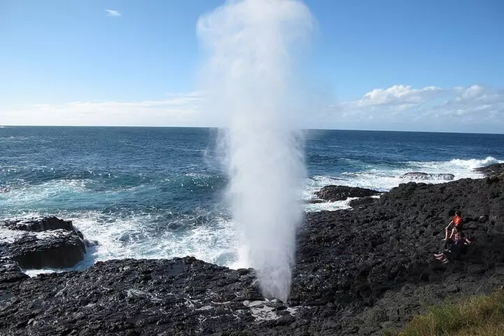 Oahu Allstar Circle Island Tours - Primary Image