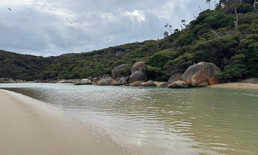 Image 4: Melbourne: Private Wilson Promontory National Park Day Tours