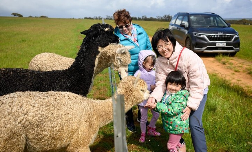 Image 1: Boshack Farm - Animal, Wildlife, Stargazing Nature Aussie culture
