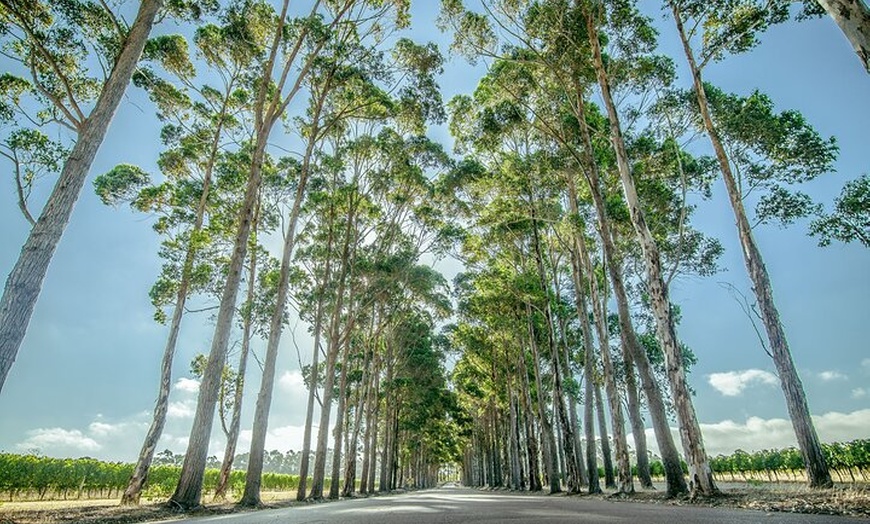 Image 9: The Top-Tier Tour