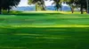 Online Booking - Round of Golf at Rice Lake Golf & Country Club