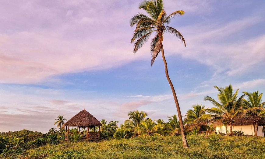 Image 19: ✈ BRÉSIL | De Rio à Salvador de Bahia - Brésil : entre Nature et Cu...