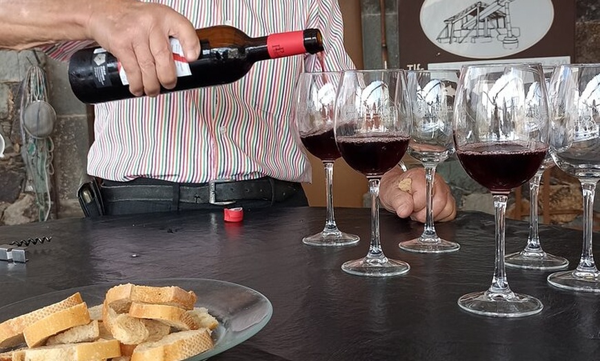 Image 9: VIP Tour Casco Antiguo de Las Palmas Gastronomia e Historia