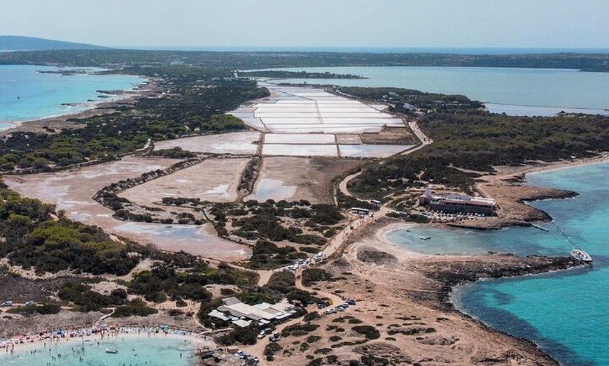 Image 9: Tour Ida y Vuelta a Formentera desde Playa d'en Bossa
