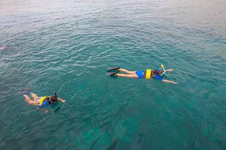 Four Winds Molokini Snorkeling Tour from Maalaea Harbor