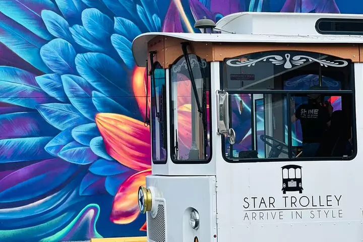 St Petersburg Ultimate (ALL-IN-ONE) City Trolley Tour