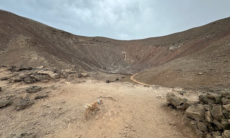 Image 13: Fuerteventura : Explora playas y paisajes Maravillosos del Norte.