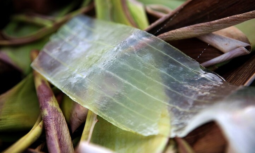 Image 9: Descubre la auténtica Fuerteventura del Sur