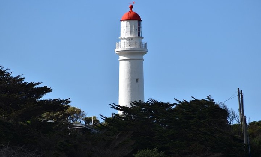 Image 10: Great Ocean Road Tour Plus Koalas, Forest Walk And Morning Tea.