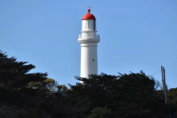 Great Ocean Road Tour Plus Koalas, Forest Walk And Morning Tea.