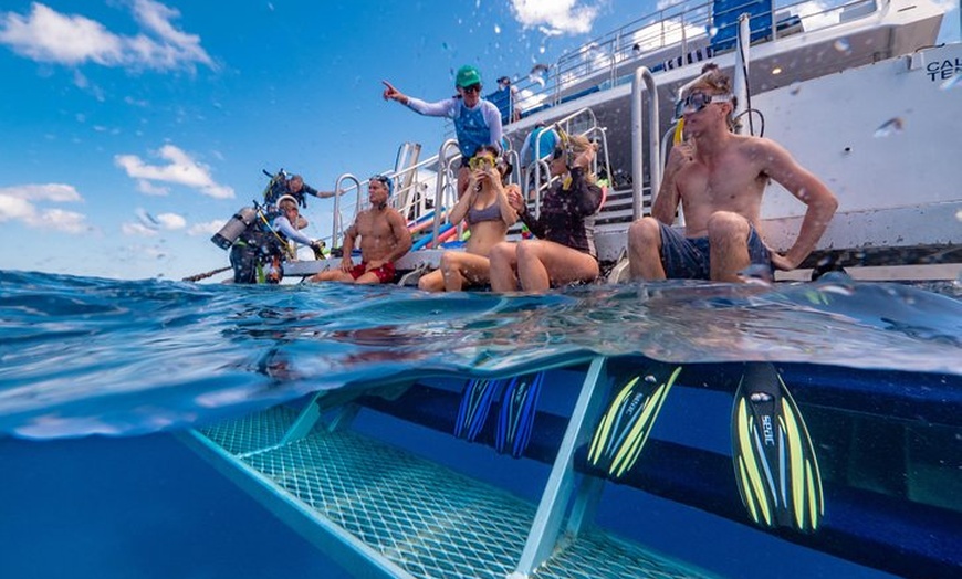 Image 7: Calypso Outer Great Barrier Reef Cruise from Port Douglas