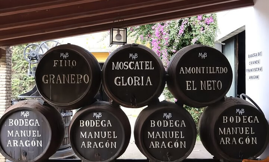 Image 4: Visita a Bodega en Chiclana de la Frontera: Cata de Vinos y Tapas